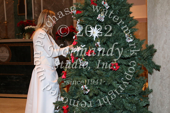MSM_tree blessing_33