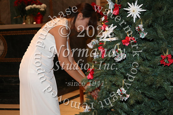 MSM_tree blessing_35