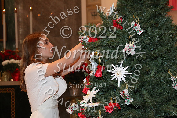 MSM_tree blessing_37