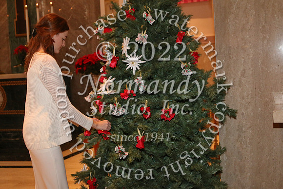MSM_tree blessing_43