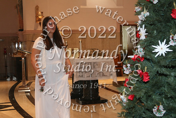 MSM_tree blessing_44