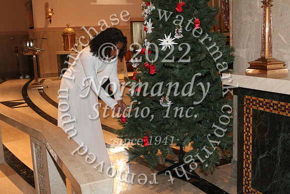 MSM_tree blessing_48