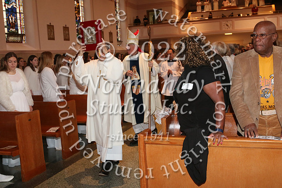 MSM_tree blessing_52