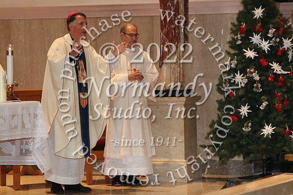 MSM_tree blessing_53