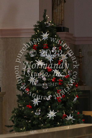 MSM_tree blessing_58
