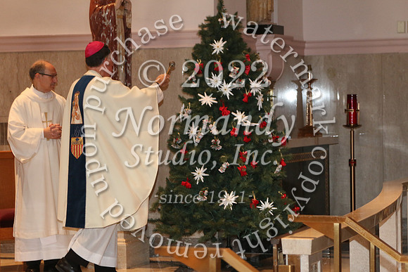 MSM_tree blessing_54