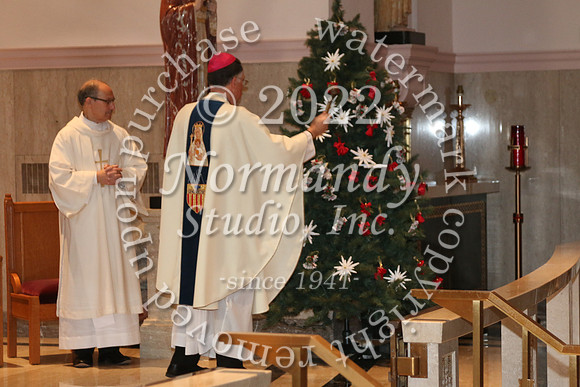 MSM_tree blessing_55