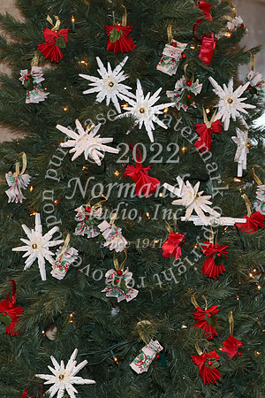 MSM_tree blessing_60