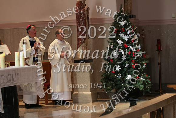 MSM_tree blessing_61