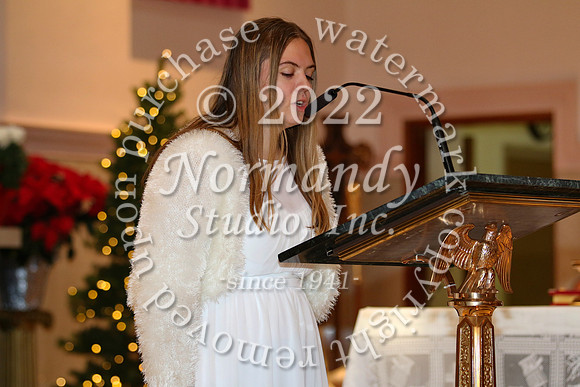 MSM_tree blessing_63