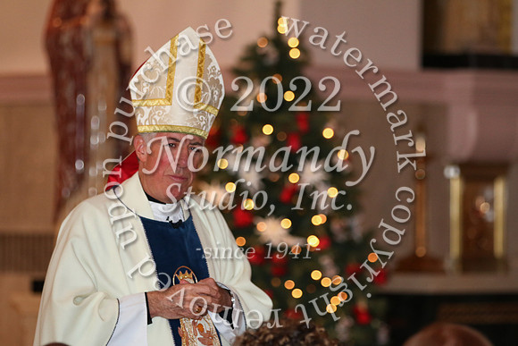 MSM_tree blessing_72