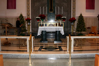 MSM_tree blessing_01