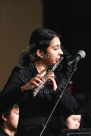 RDG_showcase_64