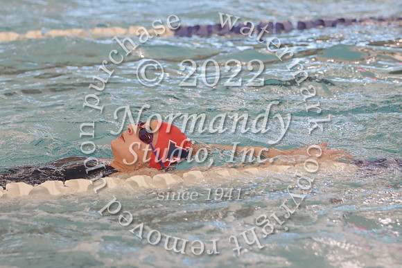 MSM_sw-g_11