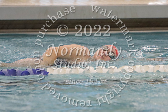 MSM_sw-g_82