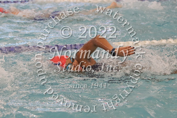 MSM_sw-g_04