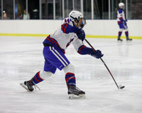 WHS_ih_17