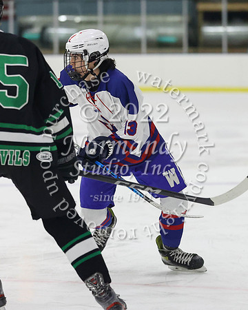 WHS_ih_40