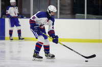 WHS_ih_10