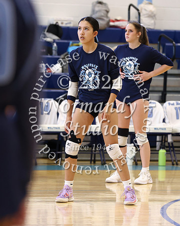 WMC_vb-g_17