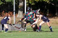 JAC_fh_17