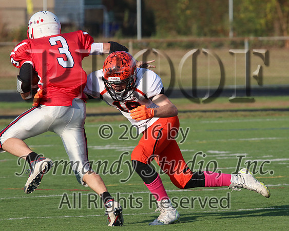 SVL_fb-j_036