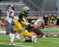 SVL_fb-j_19