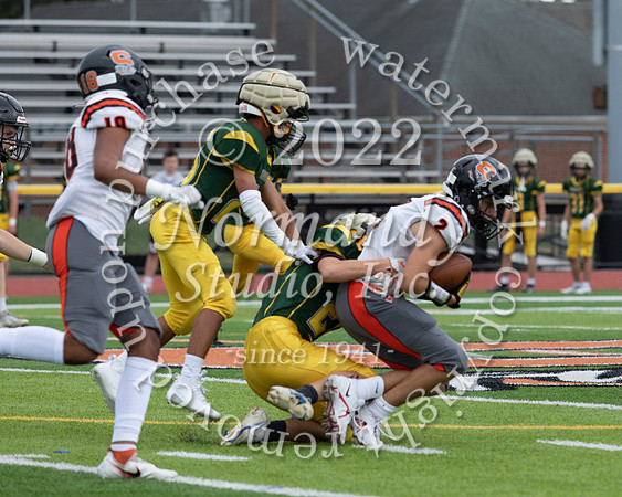 SVL_fb-j_19