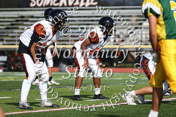 SVL_fb-f_19