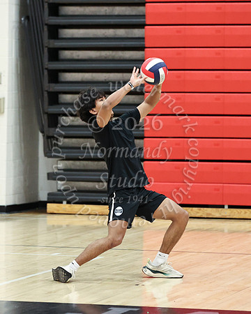 JTH_vb-tourn_24