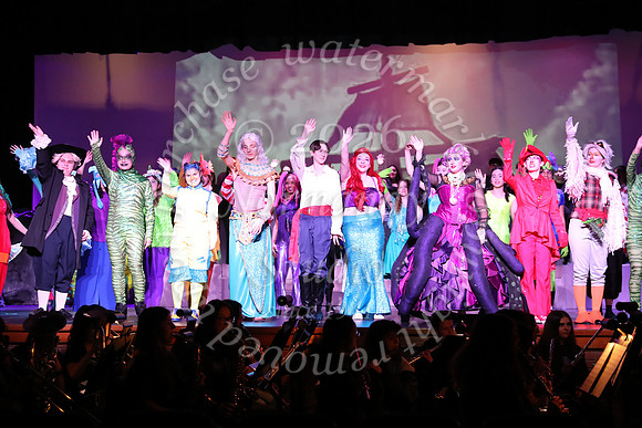 FTH_little mermaid_01