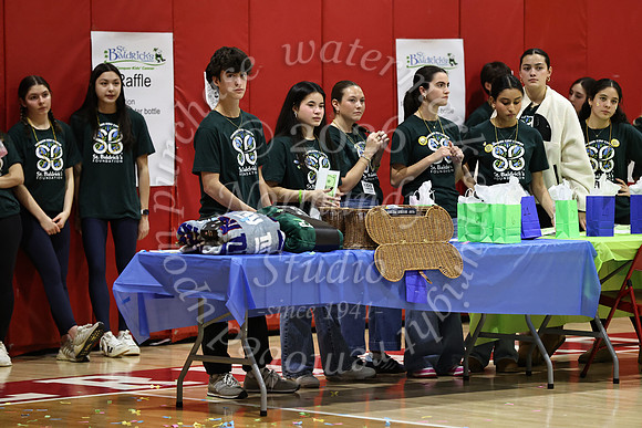 BER_st-baldricks_20