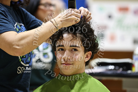 BER_st-baldricks_28