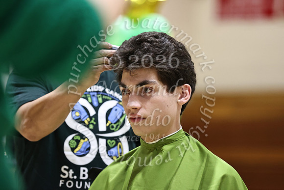 BER_st-baldricks_30