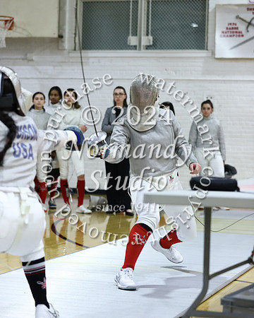 BER_fe-g_019