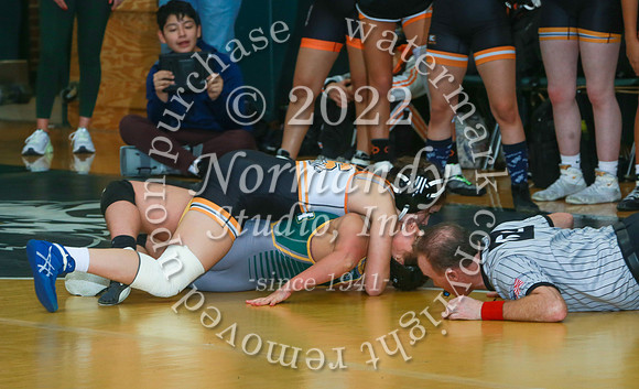 SVL_wr-g_29
