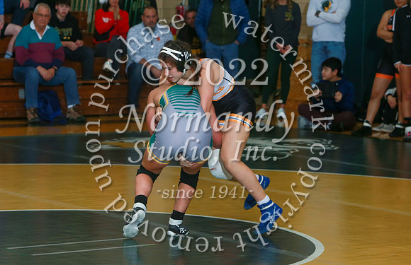 SVL_wr-g_28