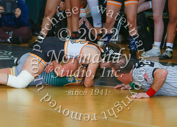 SVL_wr-g_30