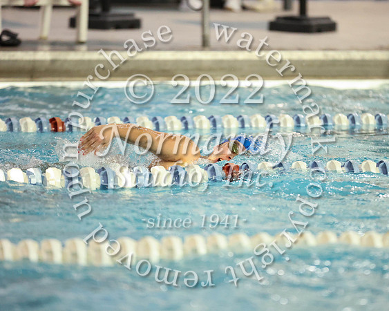 UCH_sw-g_29