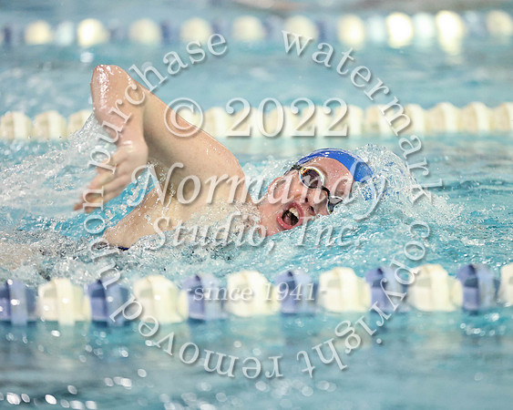 UCH_sw-g_31