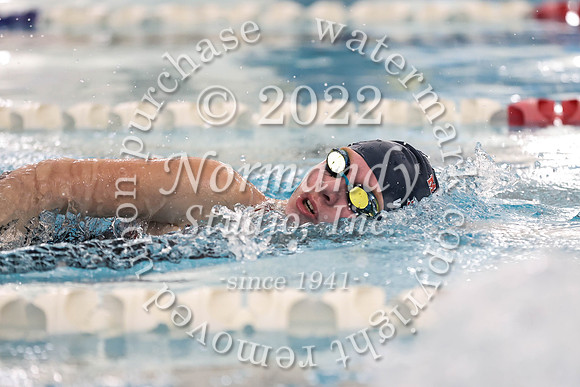 WMM_sw-g_65