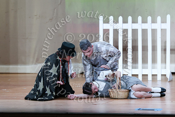 BER_musical_13