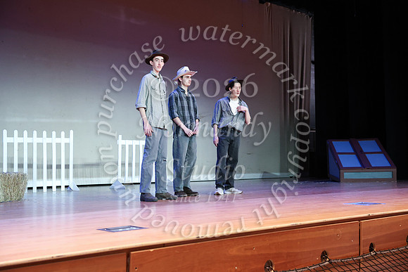 BER_musical_40