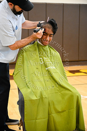 WTG_st-baldrick's_24