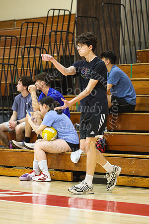 BER_vb-tourn_11