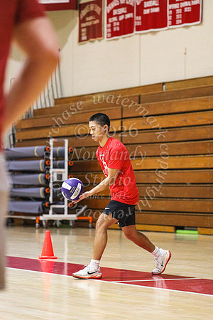 BER_vb-tourn_29