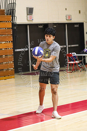 BER_vb-tourn_52