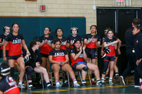 WRESTLING GIRLS