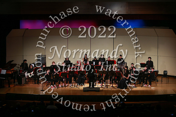 BER_concert_08