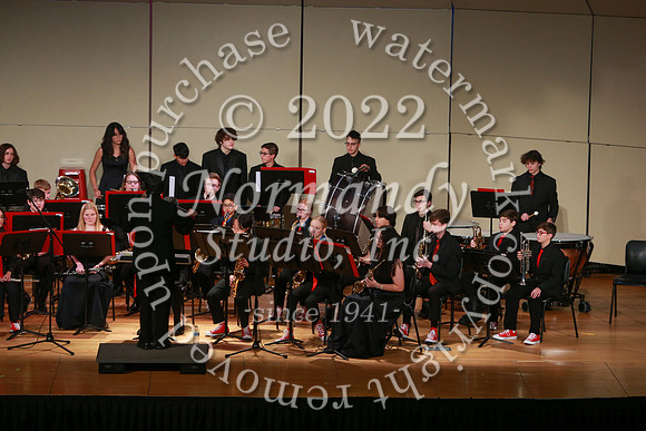 BER_concert_06